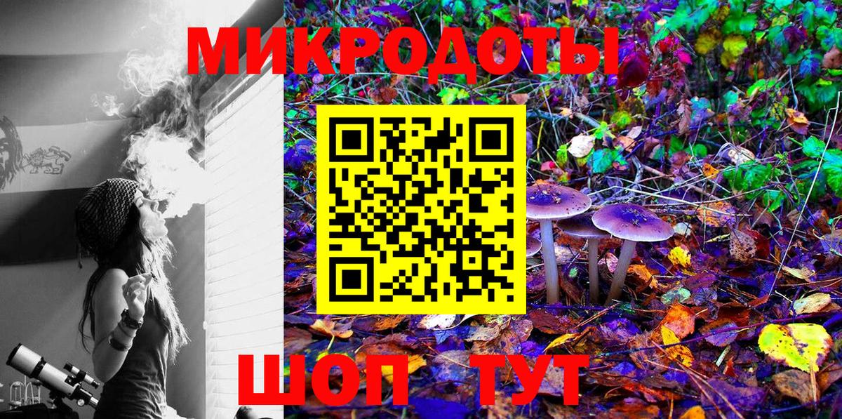 Псилоцибиновые грибы Cubensis Каменск-Уральский