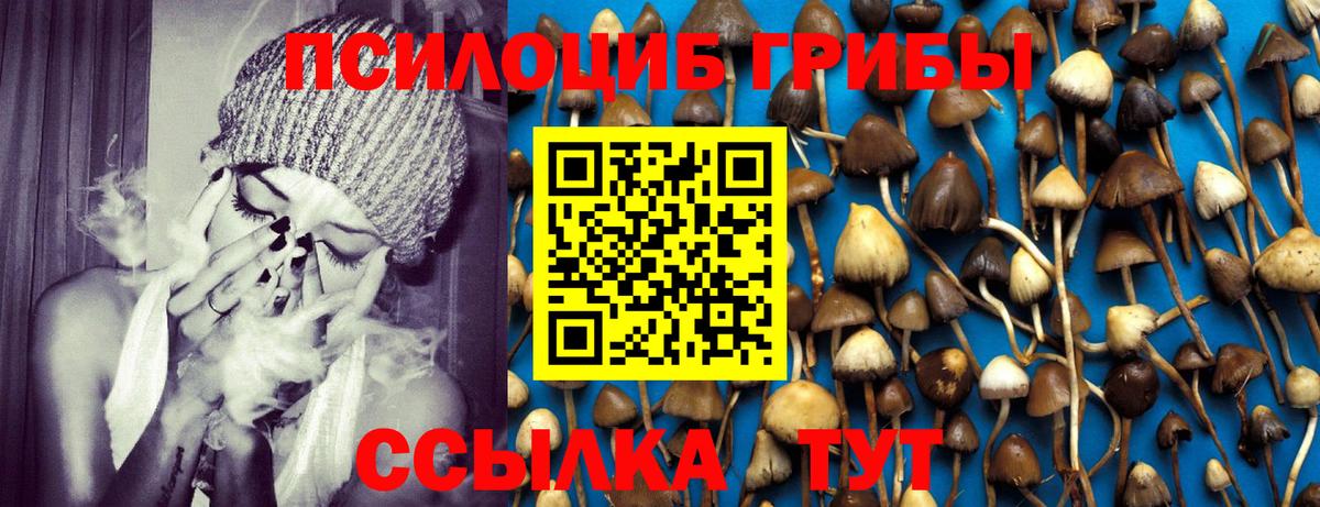 Псилоцибиновые грибы Psilocybe  цена   Каменск-Уральский  Вход с VPN 